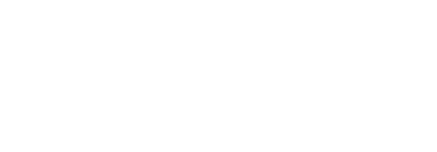 RunBuggy